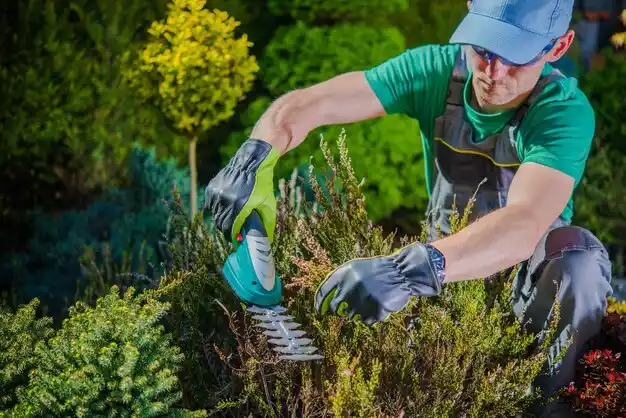 landscaping services Drew